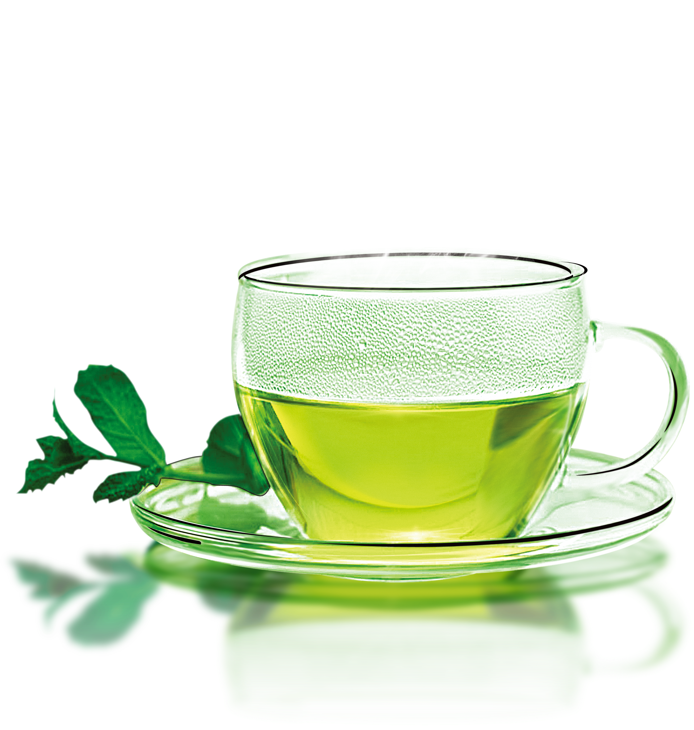 Green Tea Coffee Longjing Tea Teacup - Youlanda Tea Infuser, Stainless Steel Tea Strainer (2909x2480), Png Download