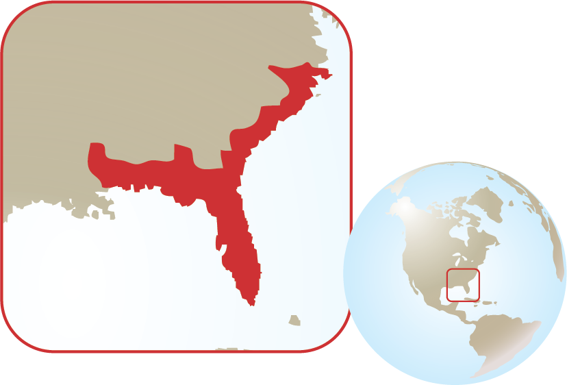 Eastern Diamondback Rattlesnake - Eastern Diamondback Rattlesnake Locations Map (828x562), Png Download
