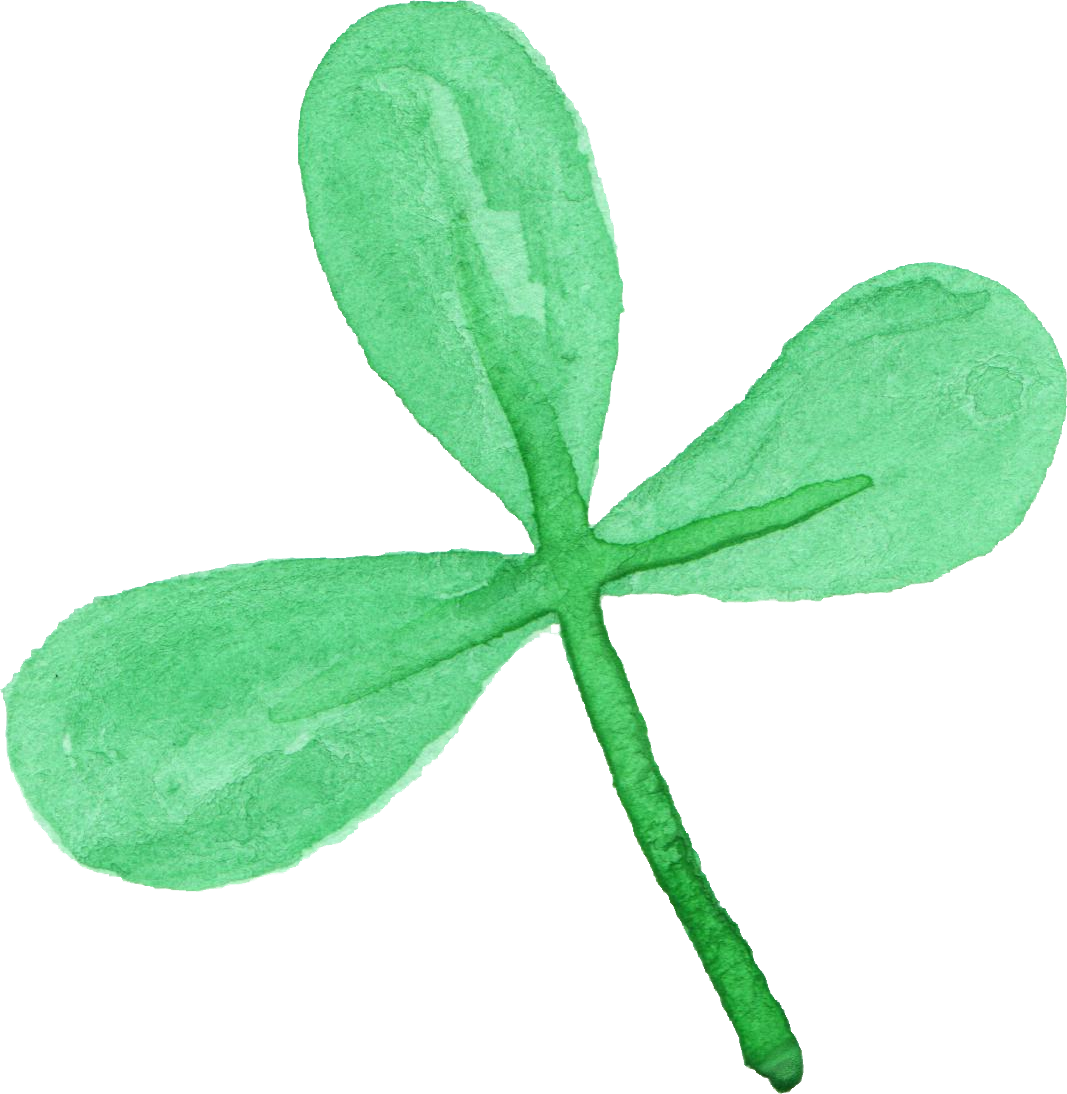 Free Download - Portable Network Graphics (1067x1094), Png Download