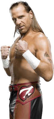 Shawn Michaels Fighting - Shawn Michaels Png (332x390), Png Download