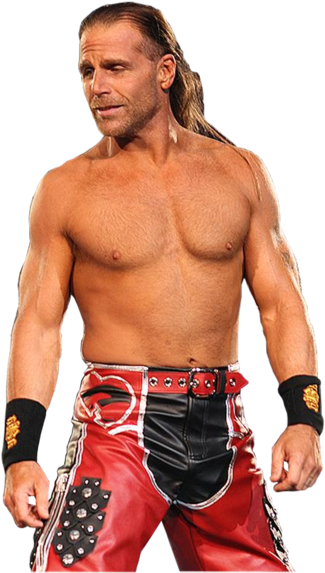 Shawn Michaels Hbk - Minneapolis (482x600), Png Download