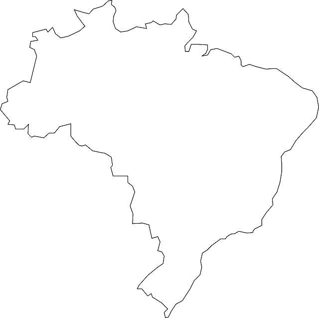 Brazil, Country, Map, Geography, Outline, Brazilian - Blank Brazil Map (640x637), Png Download