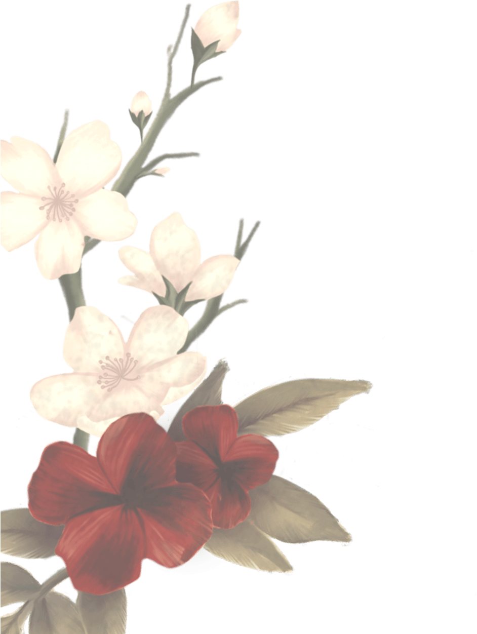 What Does This Mean Someone Plz Tell Me What You Know - Shawn Mendes In My Blood Png (1009x1251), Png Download
