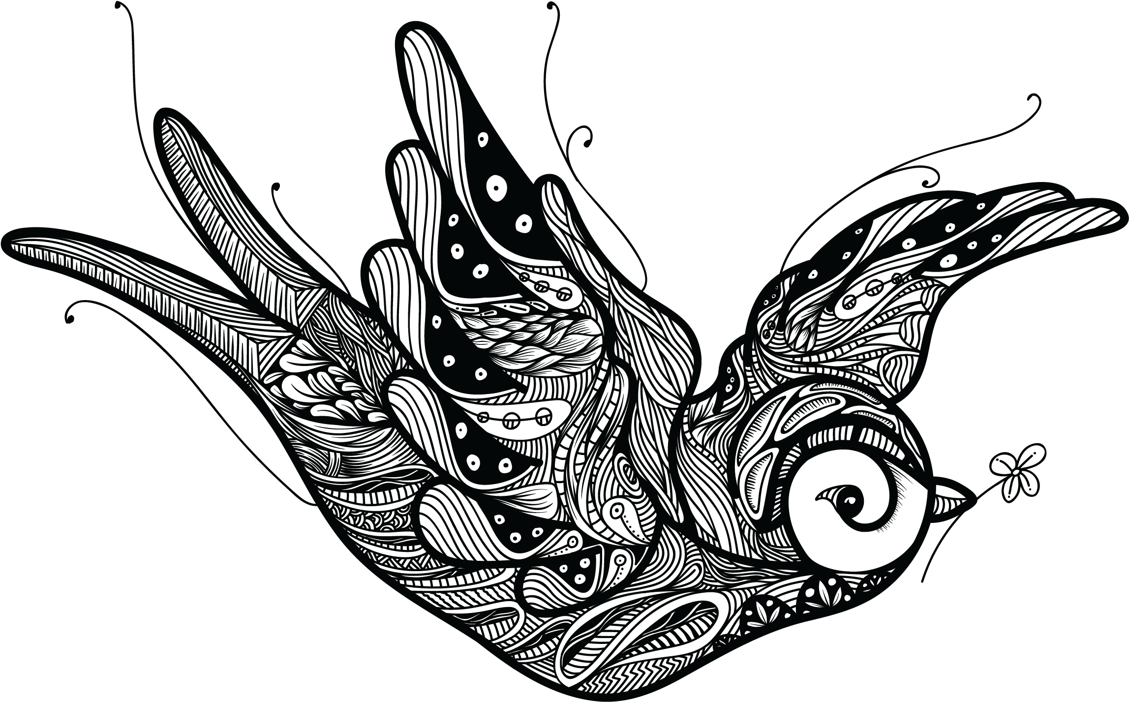 Serene Flight Blend - Bird Designs (2480x2480), Png Download