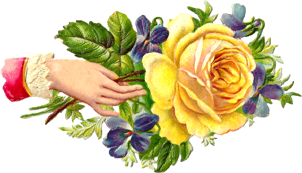 Welcome Hands With Flowers (1197x751), Png Download