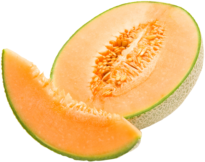 Melon Png - Edisto 47 - Cantaloupe Seeds (800x630), Png Download