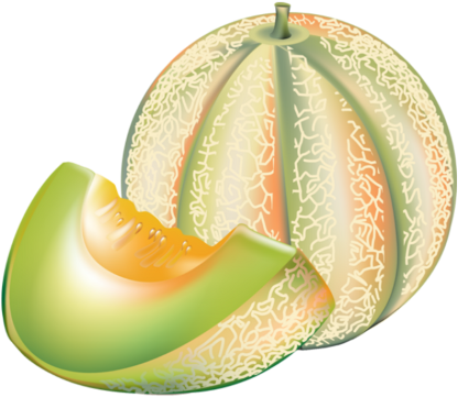 Melon Clip Art (480x480), Png Download
