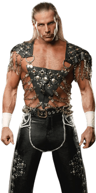 Shawn Michaels Front - Png De Shawn Michael 2018 (400x400), Png Download