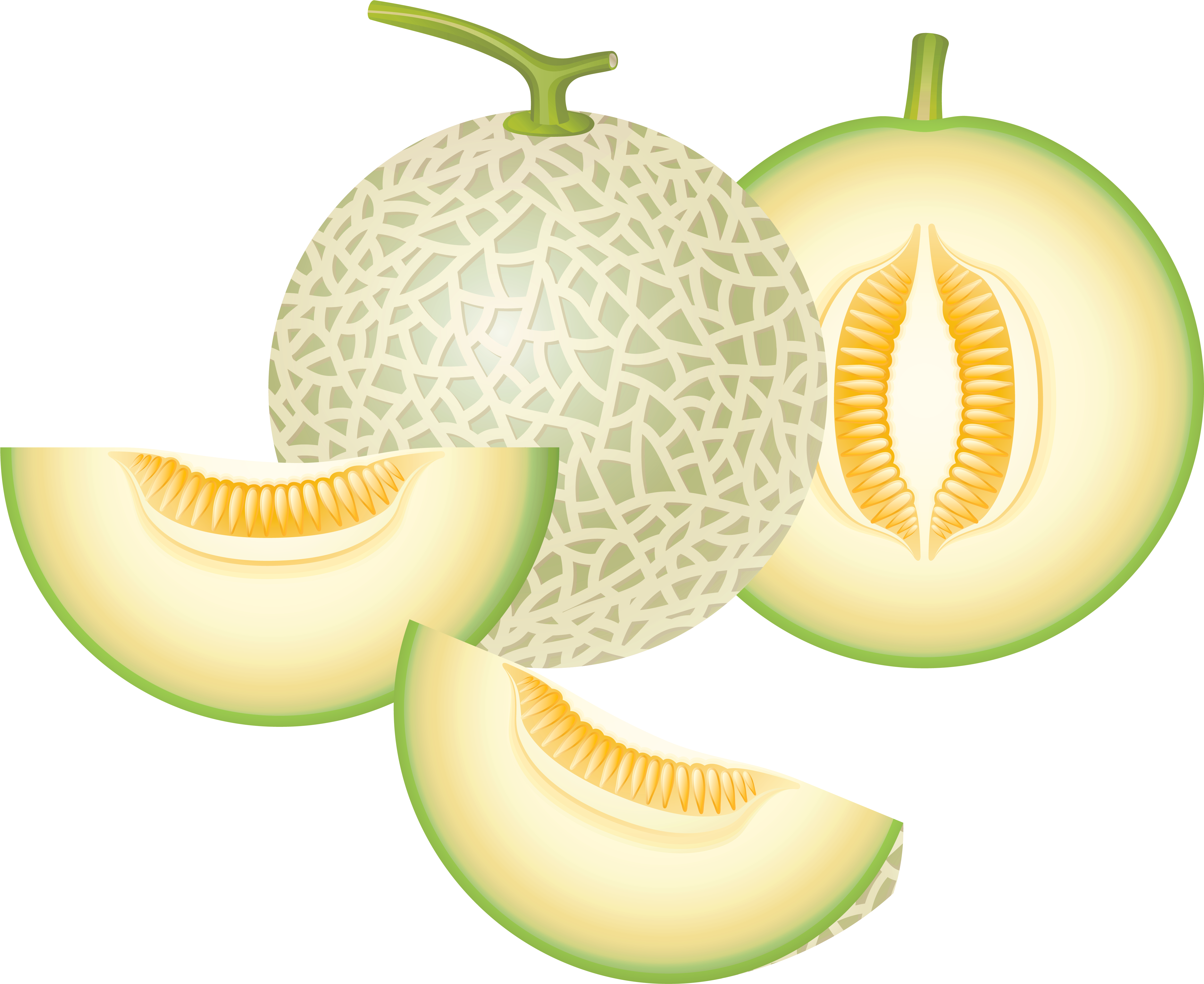 Cantaloupe Png (4765x3979), Png Download