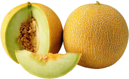 Melon Png - Can Dogs Eat Melon (443x317), Png Download