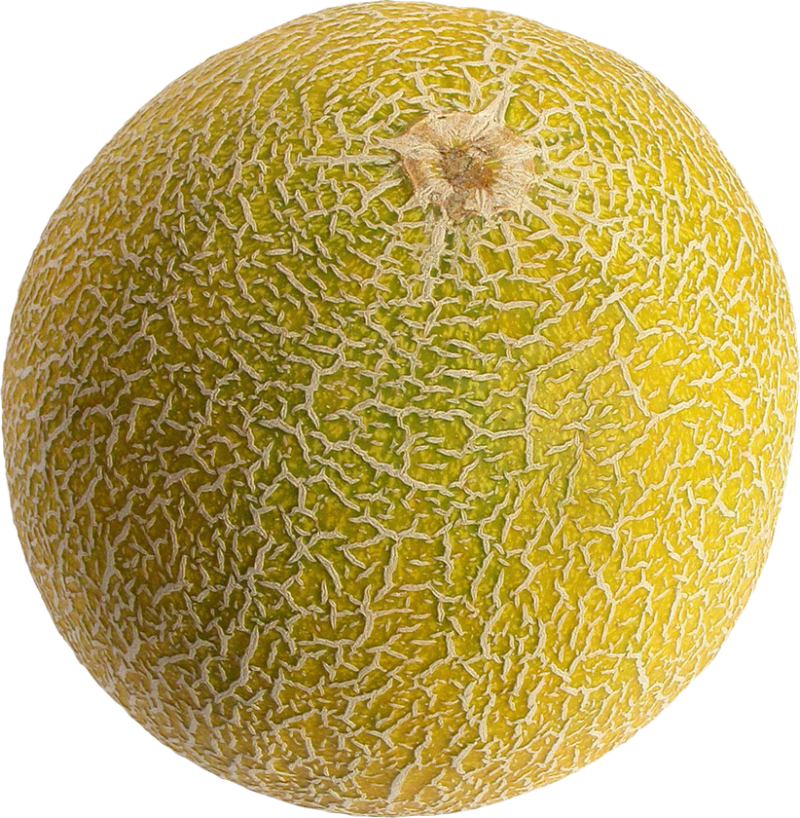 Free Png Melon Png Images Transparent - Cantaloupe Png (480x491), Png Download