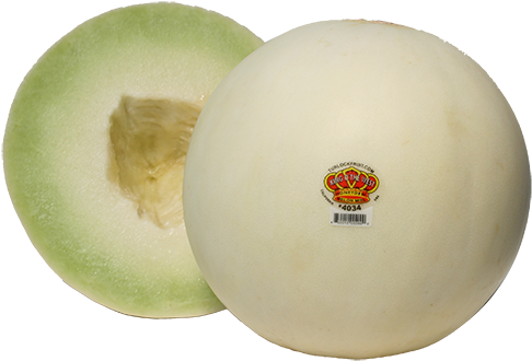 Melon Because We Pride Ourselves On Delivering A Melon - Muskmelon (500x500), Png Download