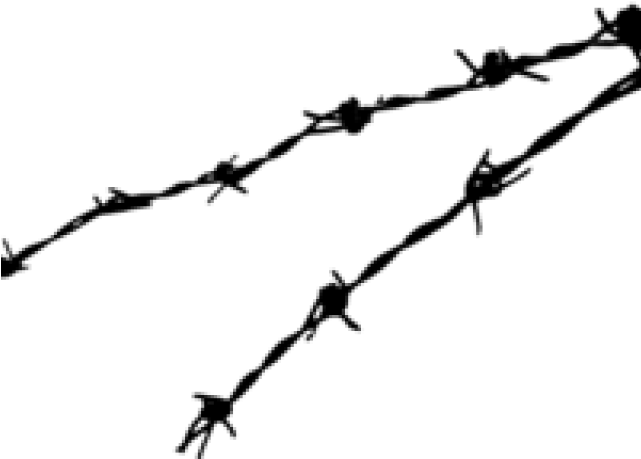 Barbwire Png Background Image - Barbwire Png (640x480), Png Download