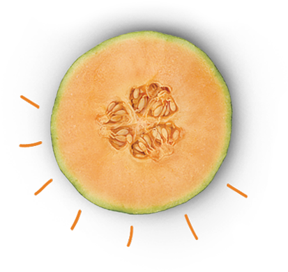 Cantaloupe - Honeydew (417x407), Png Download