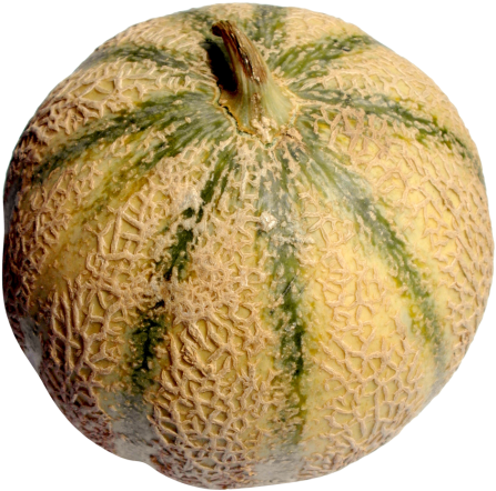Download Melon Png Image - Portable Network Graphics (500x491), Png Download