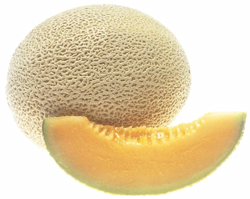 Melon Png Transparent Image - Cantaloupe With No Background (500x397), Png Download
