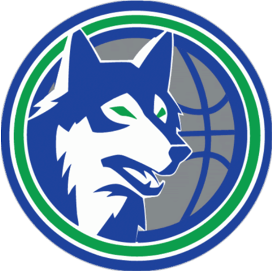 Minnesota Timberwolves Retro Logo (400x400), Png Download