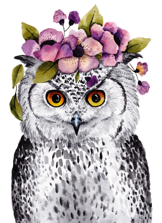 Image Du Blog Zezete2 - Owl (574x800), Png Download
