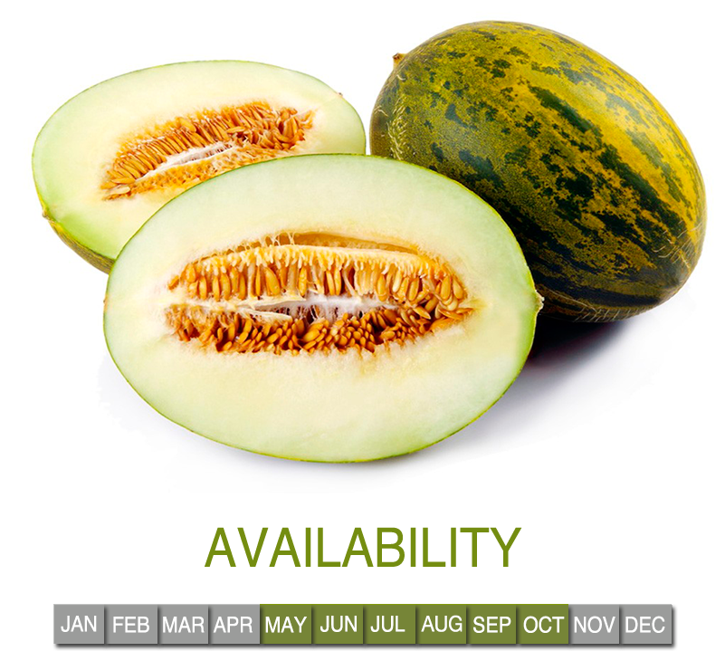 Request Information - Piel De Sapo (800x820), Png Download