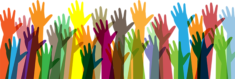 Support Groups - Platform Strategy: How To Unlock The Power Ness (800x271), Png Download