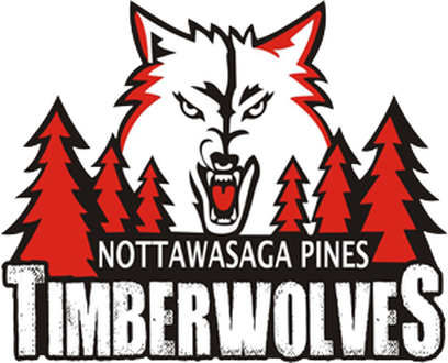 Picture - Nottawasaga Pines Secondary School Logo (408x330), Png Download