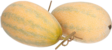 Outlet - Gourd (360x360), Png Download