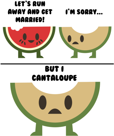 I'm Sorry But I Cantaloupe - Let Run Away And Get Married But (500x500), Png Download