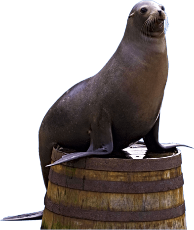 Hvac (393x465), Png Download