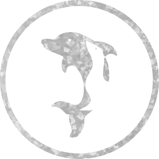 Dolphins And Sea Lions - Icon Adventures Tours (556x556), Png Download