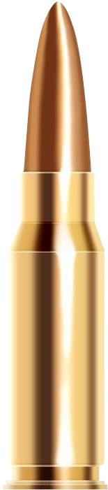 Bullets Png Image - Bullet Download In Png (255x782), Png Download