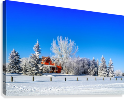 Red House Surrounded By White Trees And Snow On Blue - Canvas Print (429x342), Png Download