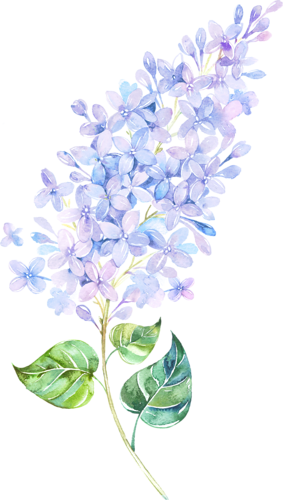 Pin By Carmen Dungan - Eleville 8x10 Behind Every Successful Woman Is Herself (283x500), Png Download