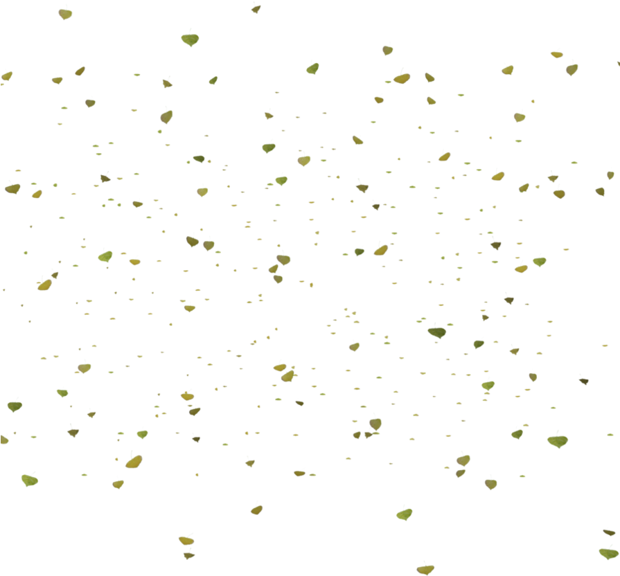 Go To Image - Leaf (894x894), Png Download