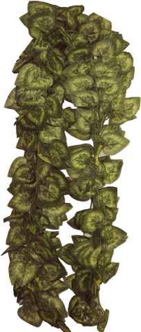 Green Vine Leaves - Massage (285x480), Png Download