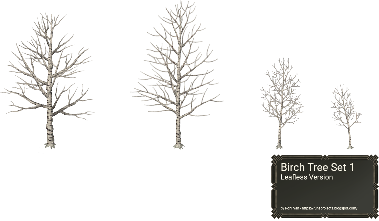 [ Img] - Leafless Birch Tree (1432x816), Png Download