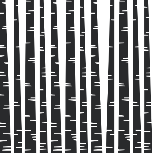 Clip Transparent Library Tree Silhouette Wall Decal - Birch Tree Silhouette Transparent (497x500), Png Download