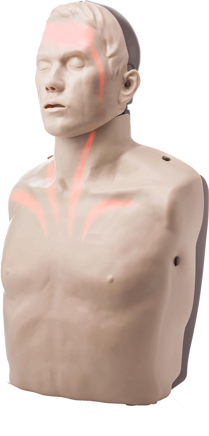 Bigred™ Cpr Manikin With Led Light Cpr Feedback - Transparent Anatomical Manikin (2000x2000), Png Download