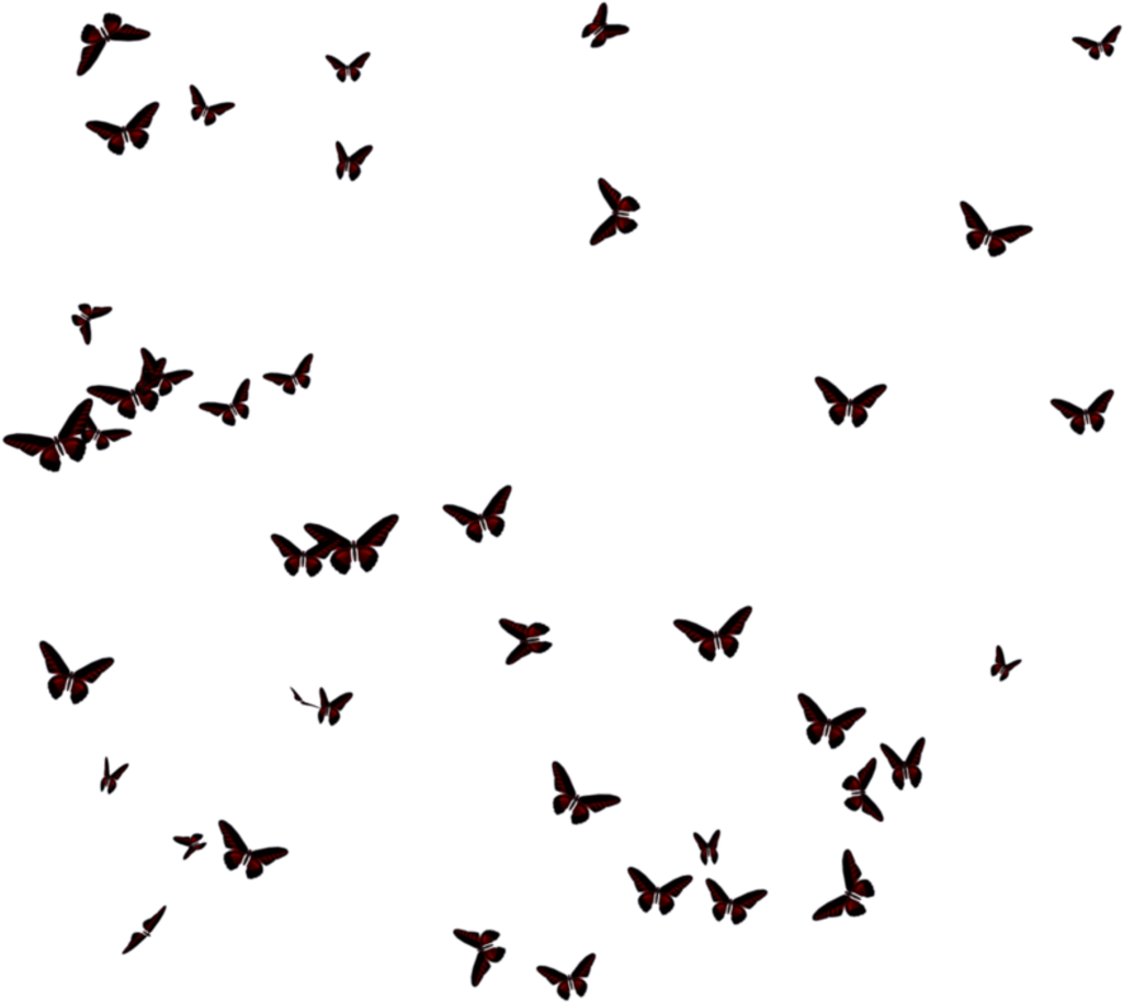 Butterflies Transparent Images - Nurturing A Backyard Habitat For Wildlife (786x1017), Png Download