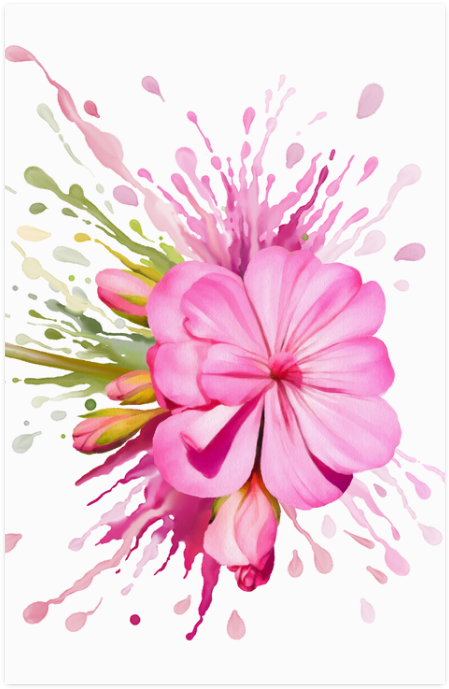 Chrysanths (800x800), Png Download