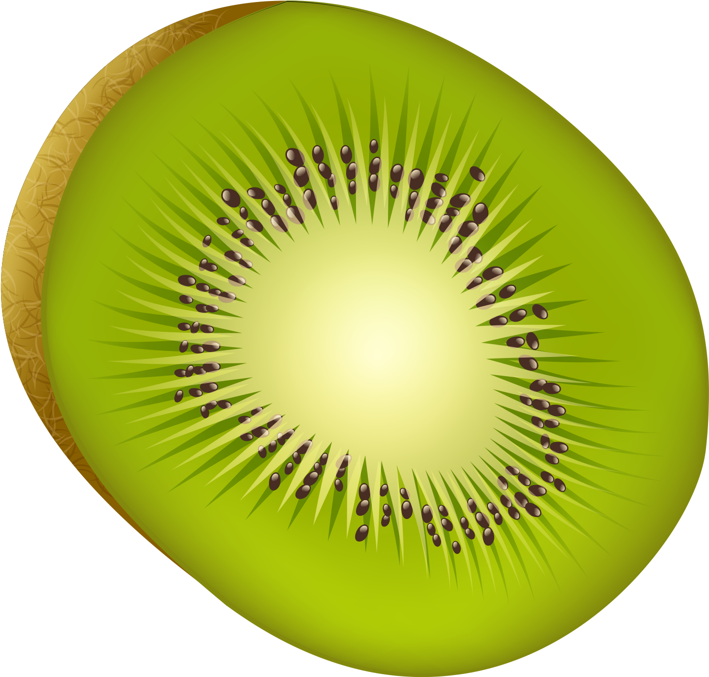 Download - Kiwifruit (2048x2048), Png Download