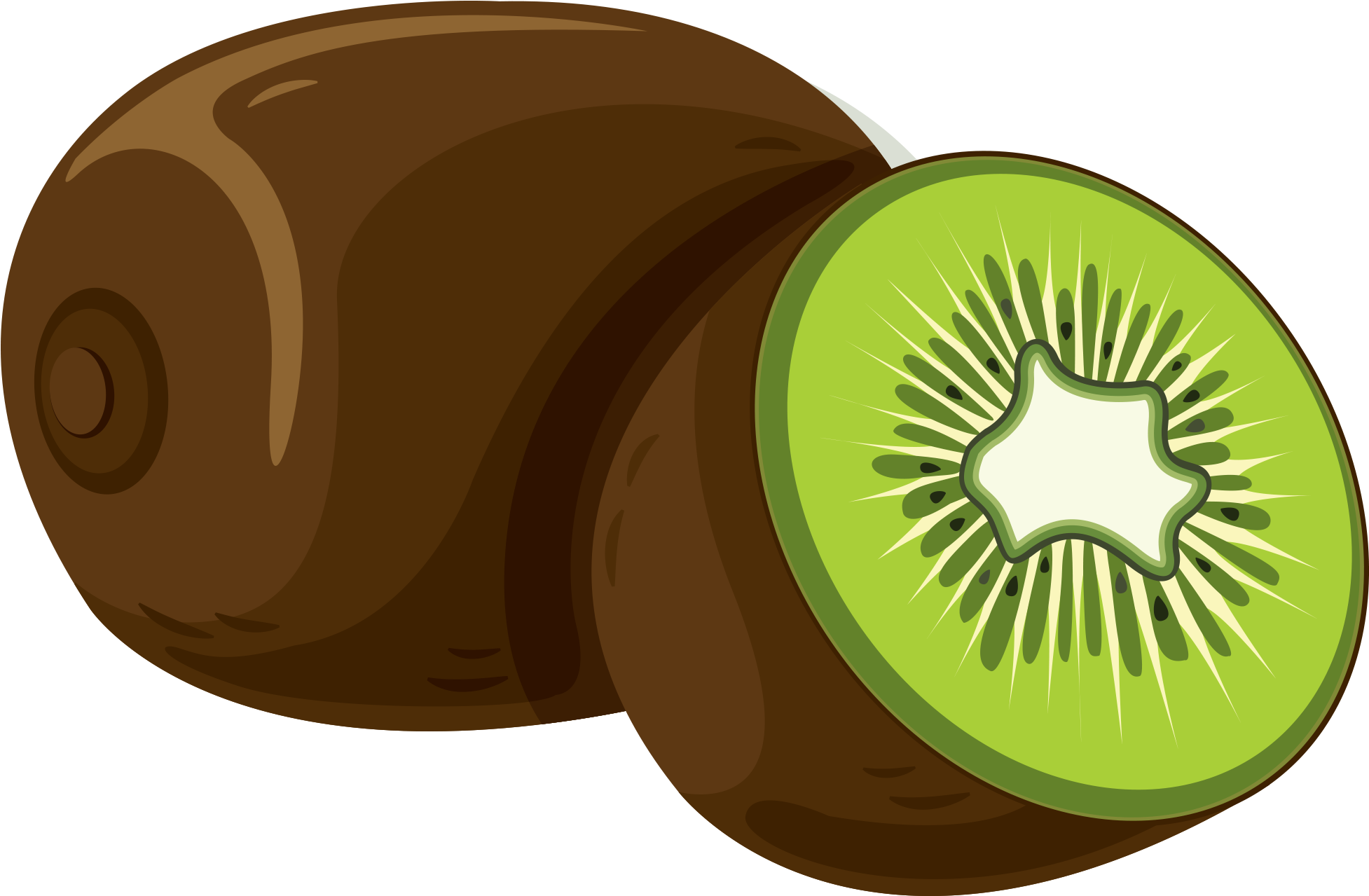 Download - Kiwifruit (2048x2048), Png Download