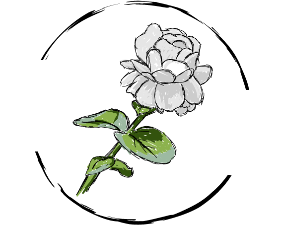 This Is Not Egalitarianism, Though It May Seem Such - Brooke Davis (800x600), Png Download