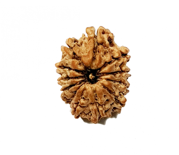 12 Mukhi Nepali (lord Surya) - Artificial Flower (700x850), Png Download