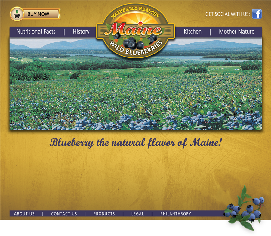 Copyright 2017 Maine Natural Fruit, Llc - Grass (900x897), Png Download