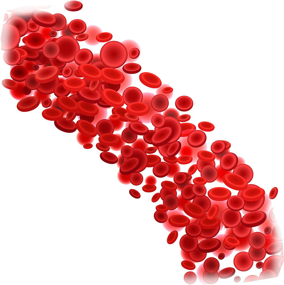 Blood Donation Download Png Image - Red Blood Cell Png (1000x1000), Png Download