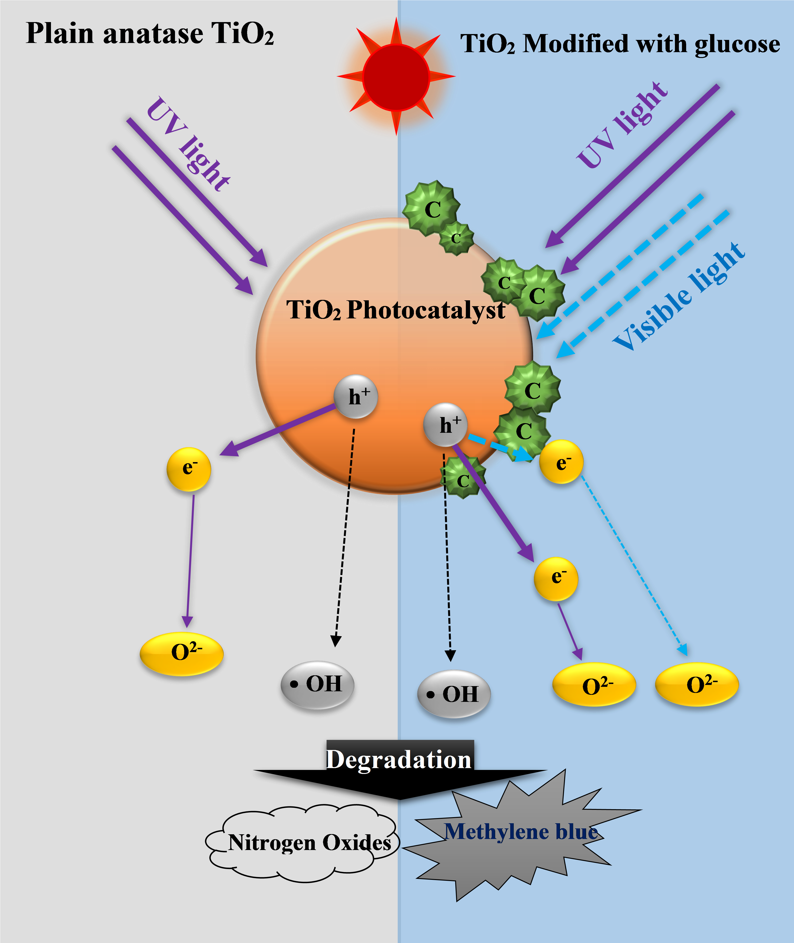 Graphical Abstract - Diagram (3482x4066), Png Download