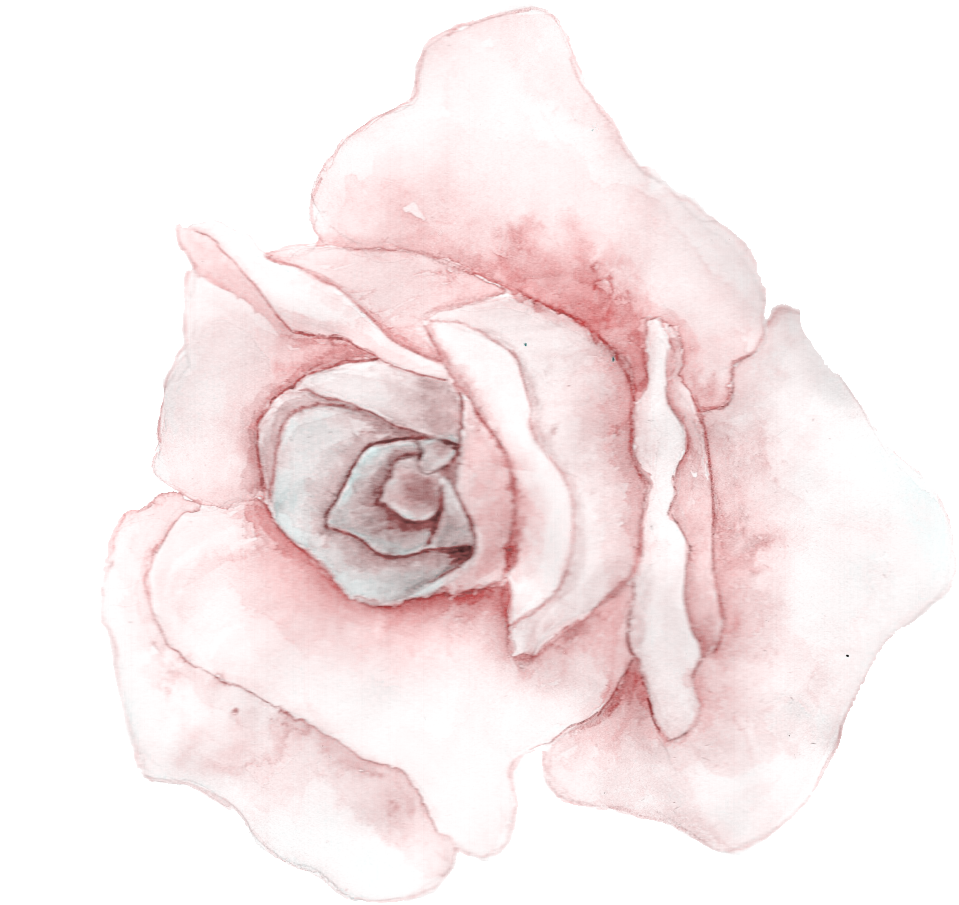 Powder White Flower Transparent Decorative - Hybrid Tea Rose (1024x997), Png Download