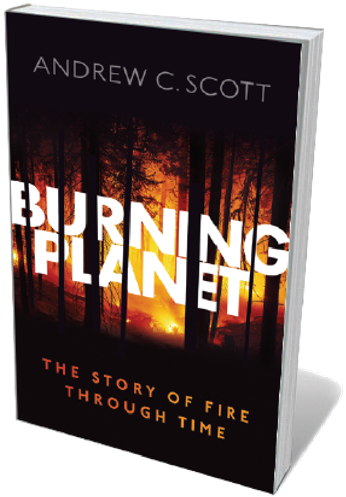 Book Jacket For Burning Planet - Flyer (800x1022), Png Download