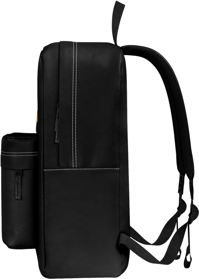 Ghiozdan Clasic Doge - Katelyn And Aphmau Pillow (1024x1024), Png Download