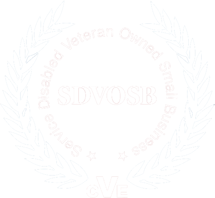 Download Into Our Daily Business Practices - Service Disabled Veteran ...